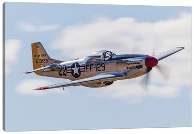 A P-51 Mustang Flies By At Vacaville, California Canvas Art Print - By Air