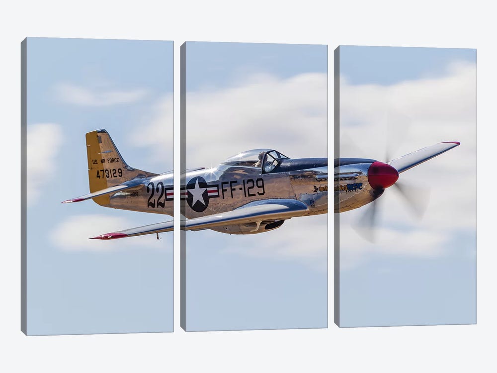 A P-51 Mustang Flies By At Vacaville, California by Rob Edgcumbe 3-piece Art Print