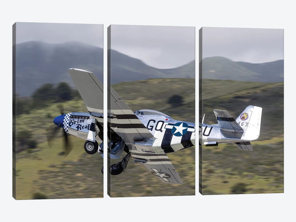 A P-51 Mustang Takes Off From Half Moon Bay, California 3-piece Canvas Art