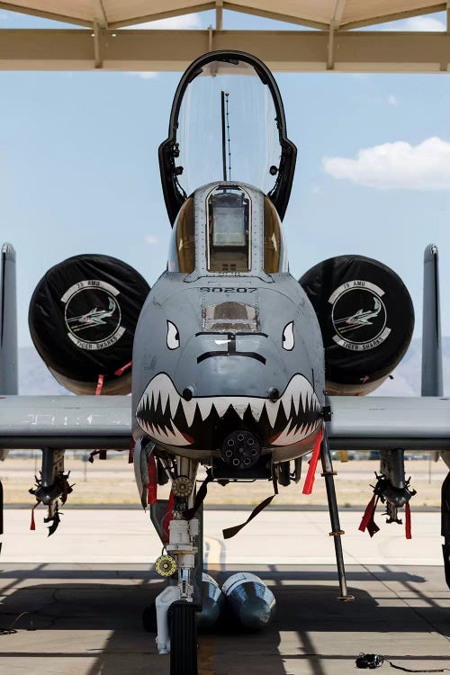 A US Air Force A-10 Thunderbolt II Parked At Davis Monthan Air Force Base by Rob Edgcumbe wall art