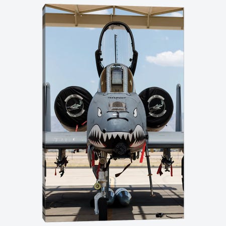 A US Air Force A-10 Thunderbolt II Parked At Davis Monthan Air Force Base Canvas Print #TRK442} by Rob Edgcumbe Canvas Print