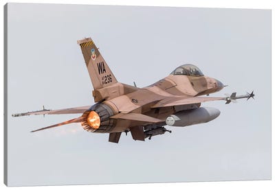 An Aggressor F-16C Fighting Falcon Of The US Air Force Canvas Art Print