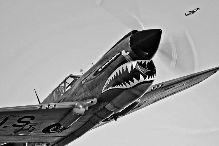 A Curtiss P-40E Warhawk I In Flight Near Chino, California by Scott Germain wall art