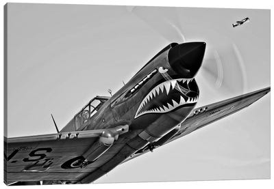 A Curtiss P-40E Warhawk In Flight Near Chino, California I Canvas Art Print - Military Aircraft Art