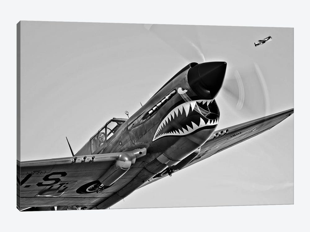 A Curtiss P-40E Warhawk In Flight Near Chino, California I 1-piece Canvas Print