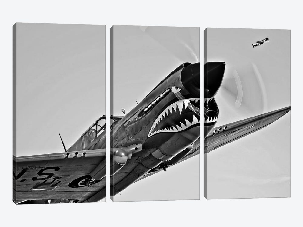 A Curtiss P-40E Warhawk In Flight Near Chino, California I by Scott Germain 3-piece Canvas Print