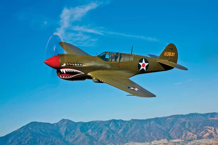 A Curtiss P-40E Warhawk II In Flight Near Chino, California II by Scott Germain wall art