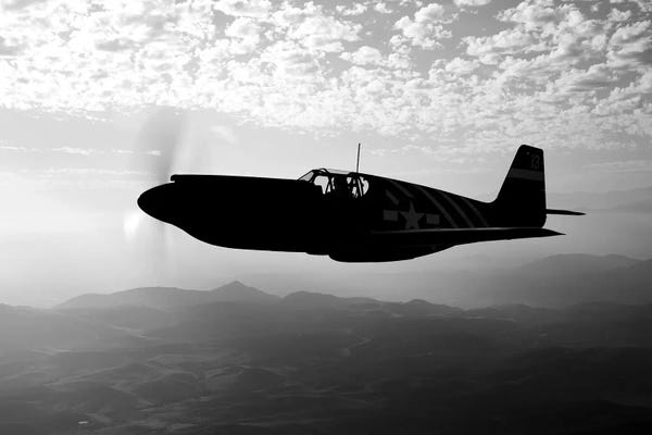 By Air: A P-51A Mustang In Flight I by Scott Germain