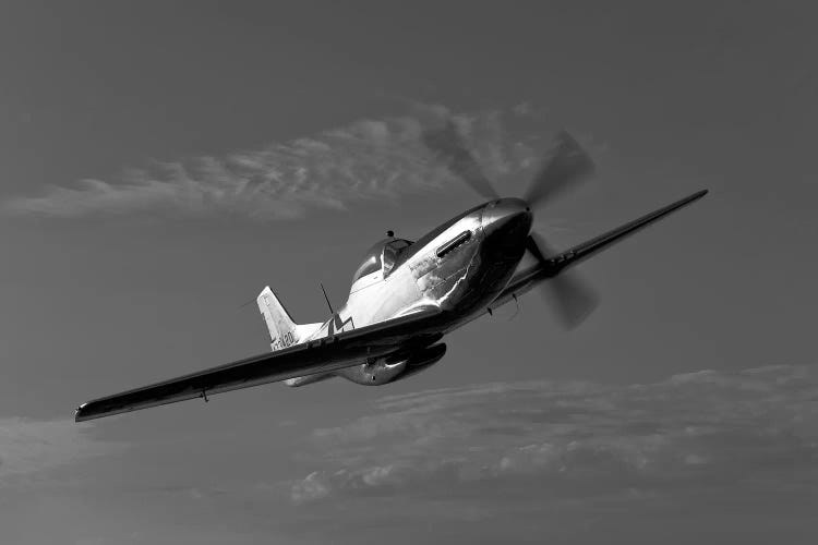 A P-51D Mustang In Flight