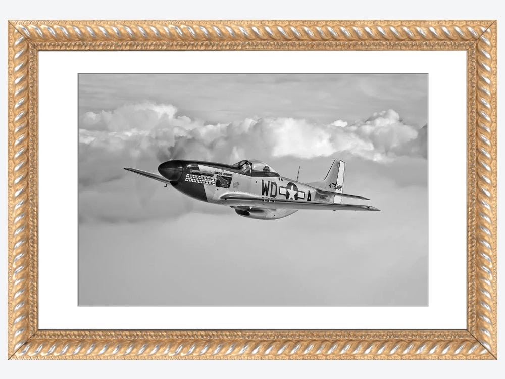 The Mustang plane by G. H. Davis For sale as Framed Prints, Photos