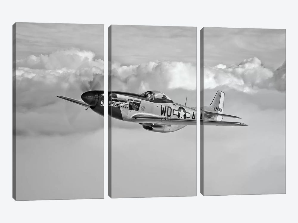 A P-51D Mustang In Flight Near Hollister, California by Scott Germain 3-piece Canvas Print