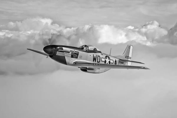 By Air: A P-51D Mustang In Flight Near Hollister, California by Scott Germain