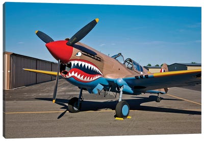 Nose Art On A Curtiss P-40E Warhawk I Canvas Art Print - Stocktrek Images - Military Collection