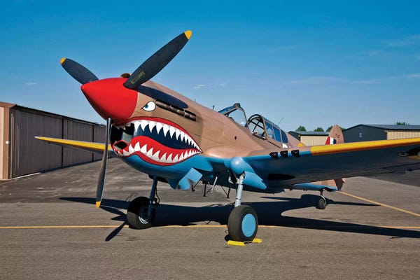 Airplanes: Nose Art On A Curtiss P-40E Warhawk I by Scott Germain