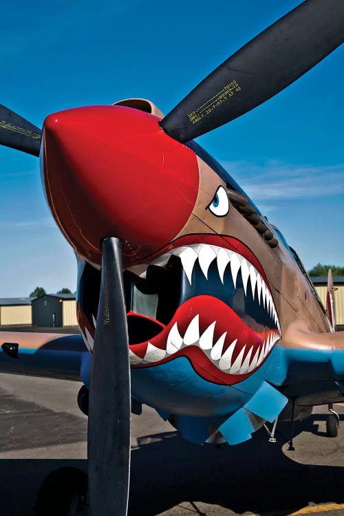 Nose Art On A Curtiss P-40E Warhawk II