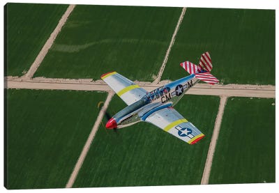 TP-51C Mustang In Flight Over Arizona Canvas Art Print