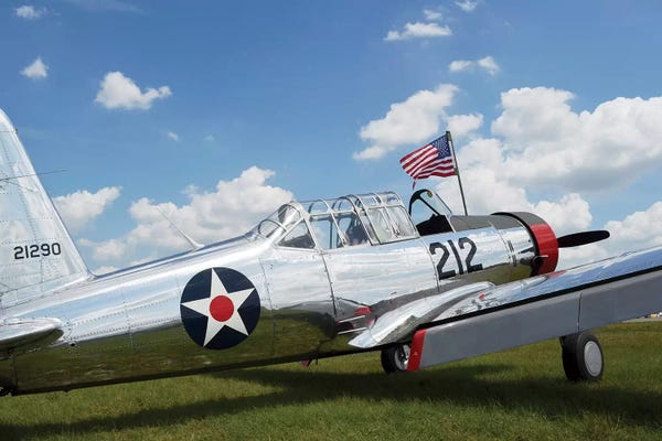 Airplanes: A BT-13 Valiant Trainer Aircraft With American Flag by Stocktrek Images
