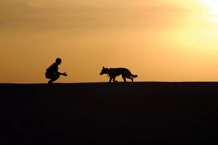 A Military Working Dog And His Handler Spend Time Together by Stocktrek Images wall art