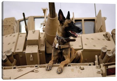 A Military Working Dog Sits On A US Army M2A3 Bradley Fighting Vehicle Canvas Art Print - German Shepherd Art