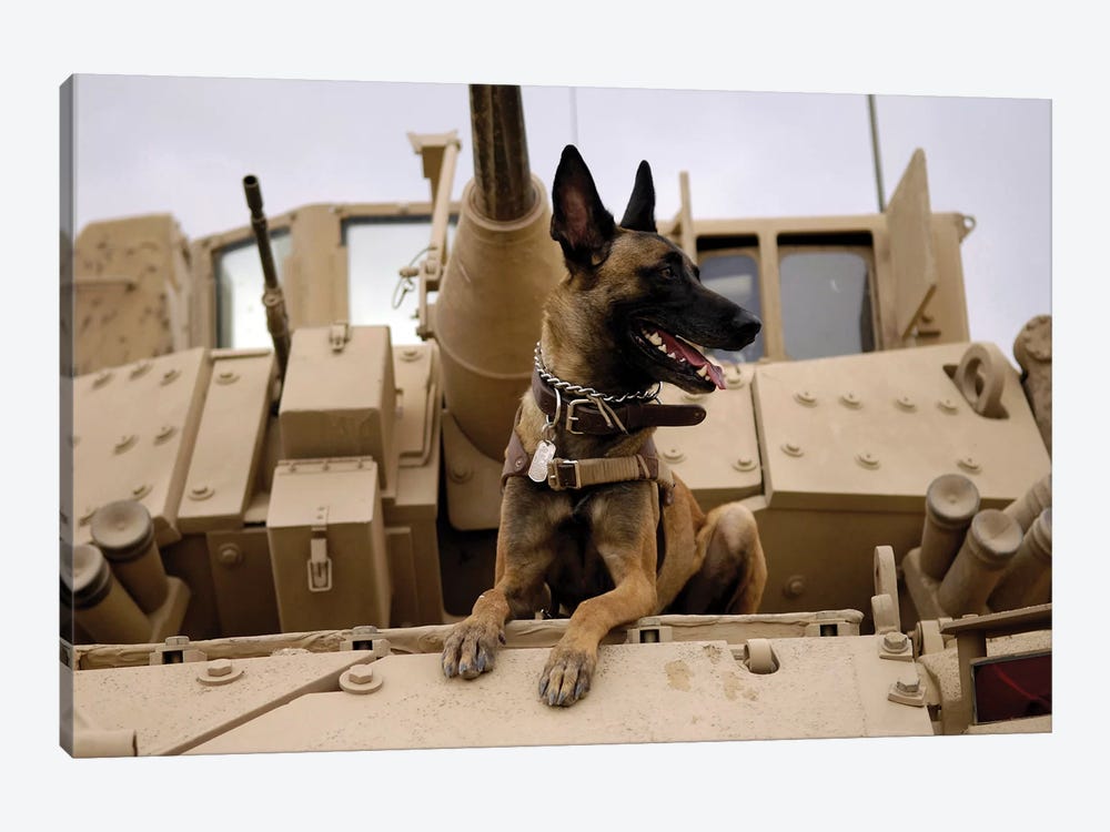 A Military Working Dog Sits On A US Army M2A3 Bradley Fighting Vehicle by Stocktrek Images 1-piece Canvas Artwork