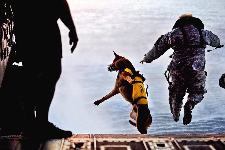 A US Soldier And His Military Working Dog Jump Off The Ramp Of A CH-47 Chinook