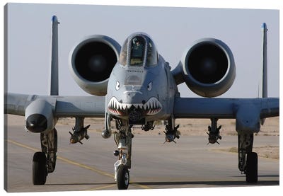 An A-10 Thunderbolt II Canvas Art Print - Stocktrek Images