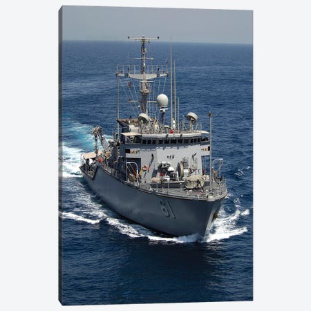 The Osprey-Class Mine Hunter Coastal Ship USS Raven Canvas Print #TRK968} by Stocktrek Images Canvas Artwork