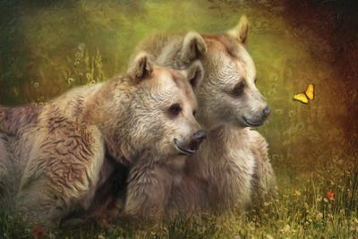 Bear Hugs by Trudi Simmonds metal wall art