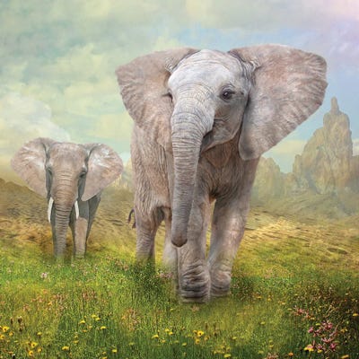 The New World by Trudi Simmonds metal wall art