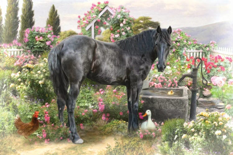 The Rose Garden by Trudi Simmonds wall art