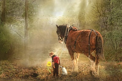 The Seeds We Sow by Trudi Simmonds canvas print