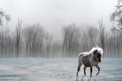 These Small Hours by Trudi Simmonds metal wall art