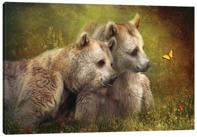 Bear Hugs Canvas Art Print - Trudi Simmonds