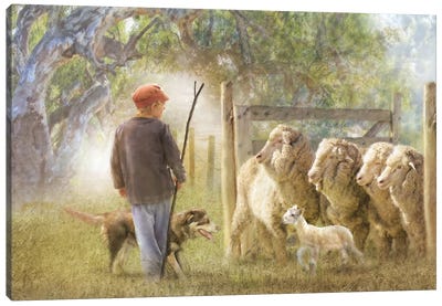 The Way Please Canvas Art Print - Sheep Art