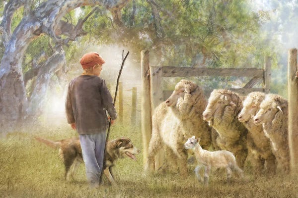 Sheep: The Way Please by Trudi Simmonds