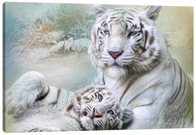White Tiger Canvas Art Print - Trudi Simmonds