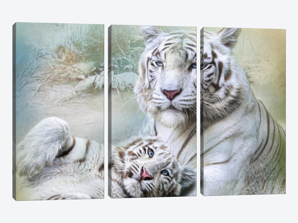 White Tiger by Trudi Simmonds 3-piece Canvas Artwork
