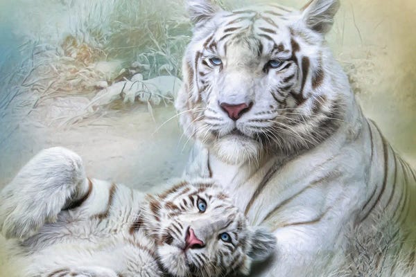 Tigers: White Tiger by Trudi Simmonds