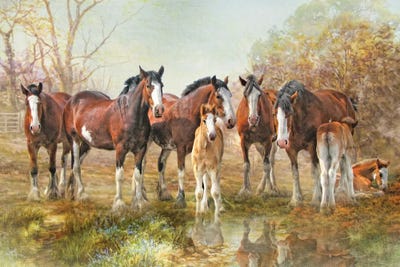 Yesterday's Reflection by Trudi Simmonds metal wall art