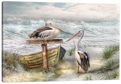Pelican Point Canvas Art Print - Large Coastal Art
