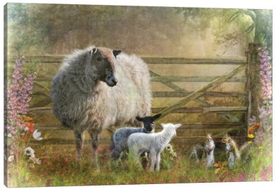 At The Gate Canvas Art Print - Sheep Art
