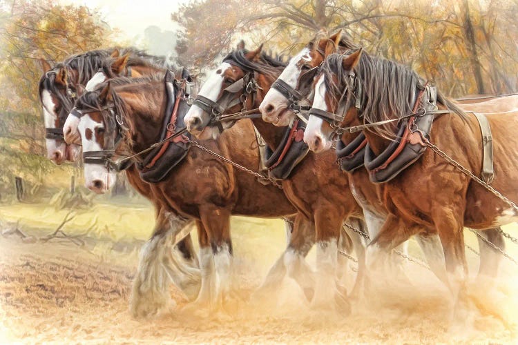 Autumn Harrow by Trudi Simmonds wall art
