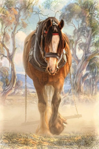 Clydesdale Solo by Trudi Simmonds metal wall art