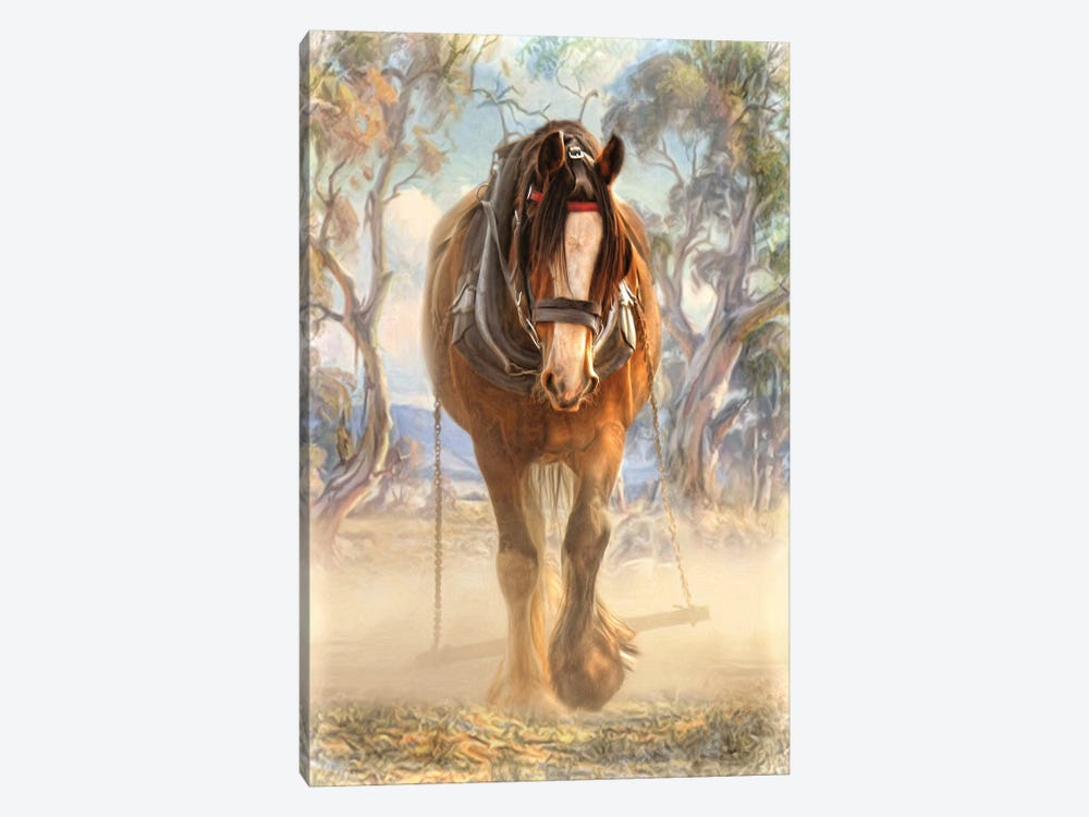 Clydesdale Solo by Trudi Simmonds 1-piece Canvas Print
