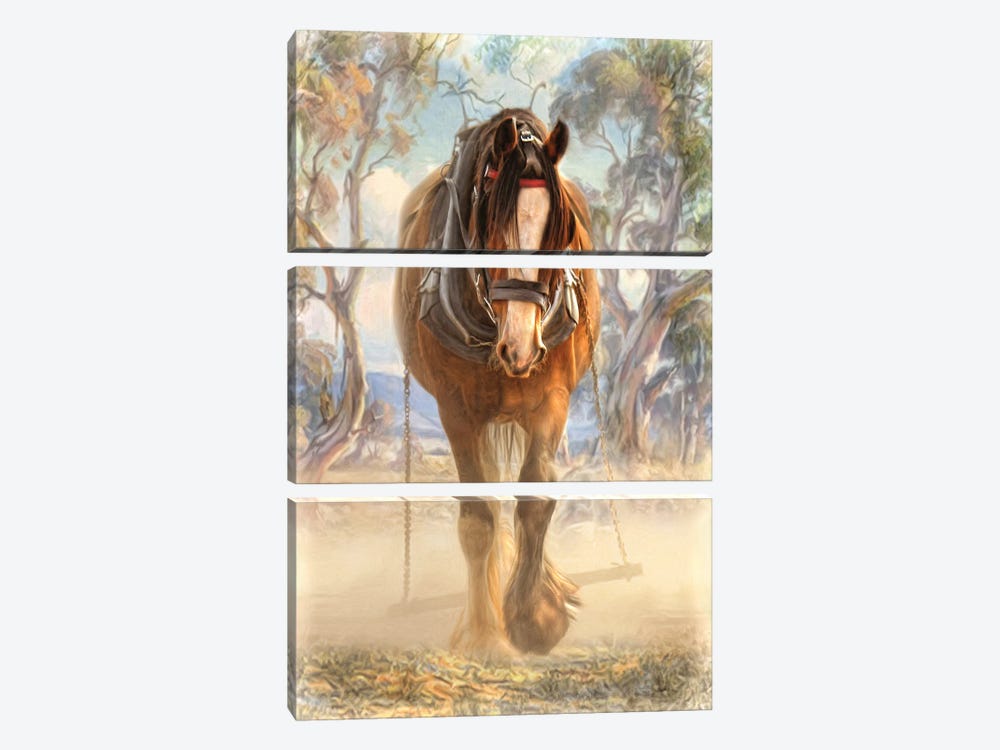 Clydesdale Solo by Trudi Simmonds 3-piece Canvas Print