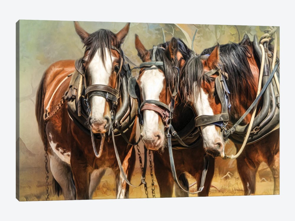 Clydesdale Conversation by Trudi Simmonds 1-piece Canvas Wall Art