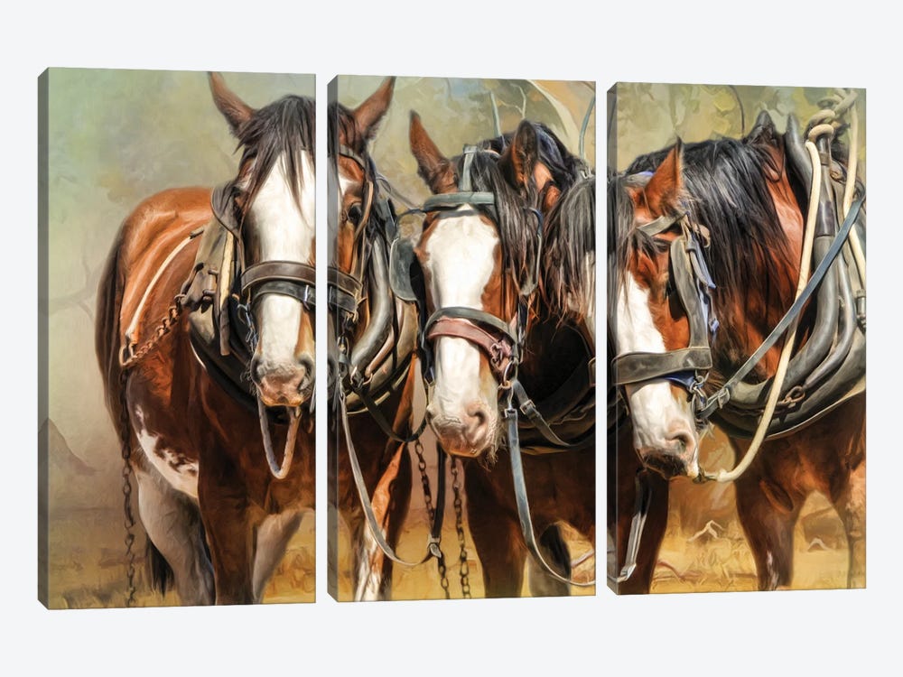 Clydesdale Conversation by Trudi Simmonds 3-piece Canvas Wall Art