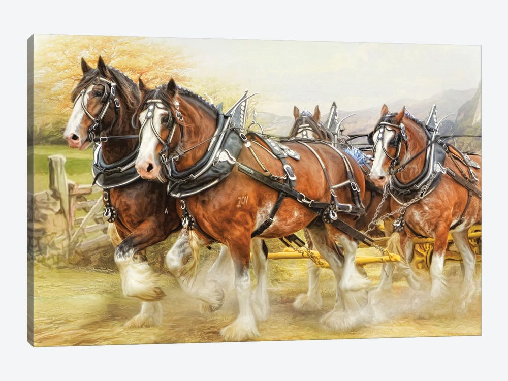 Clydesdale In Harness by Trudi Simmonds 1-piece Canvas Print