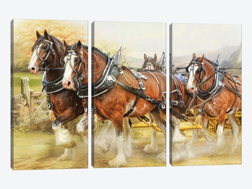 Clydesdale In Harness by Trudi Simmonds 3-piece Canvas Print