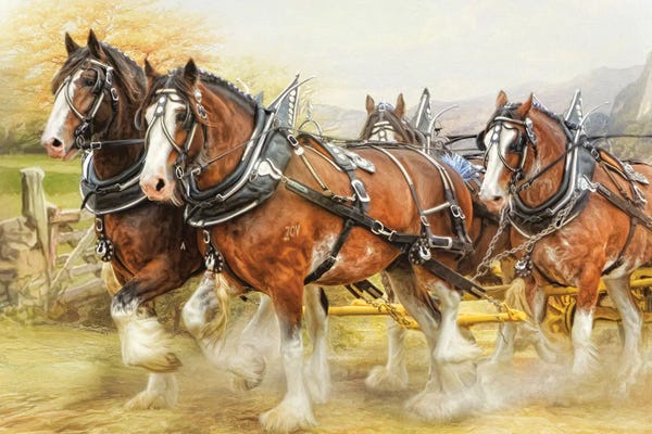 Cabin & Lodge Décor: Clydesdale In Harness by Trudi Simmonds